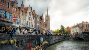 Réparation dégât des eaux Bruges